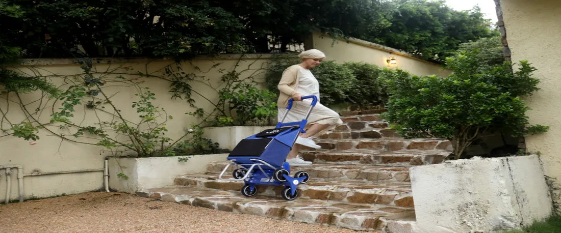 Stair-Climbing Shopping Cart