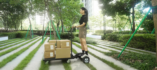 Optimize Last-Mile Delivery: Best Methods & Cost Solutions