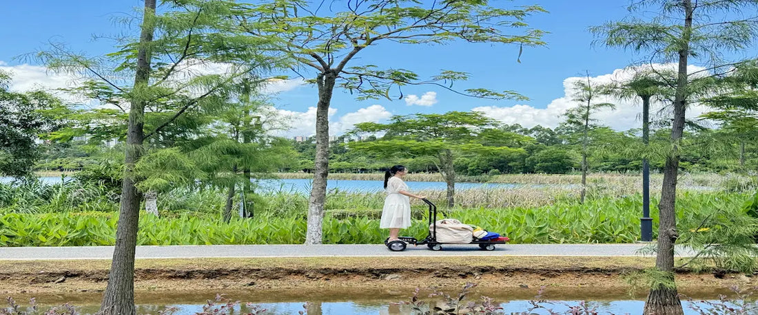 Flat cart for delivery